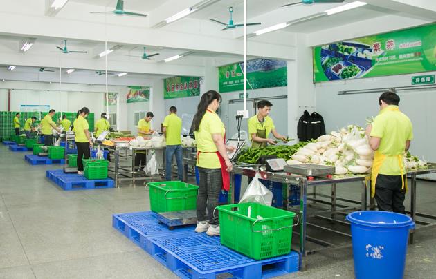 蔬菜批发行业的新篇章：市场需求与发展趋势